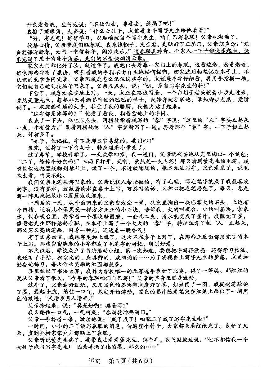2025年郑州外国语中考一模试卷及答案 语文试卷第3页