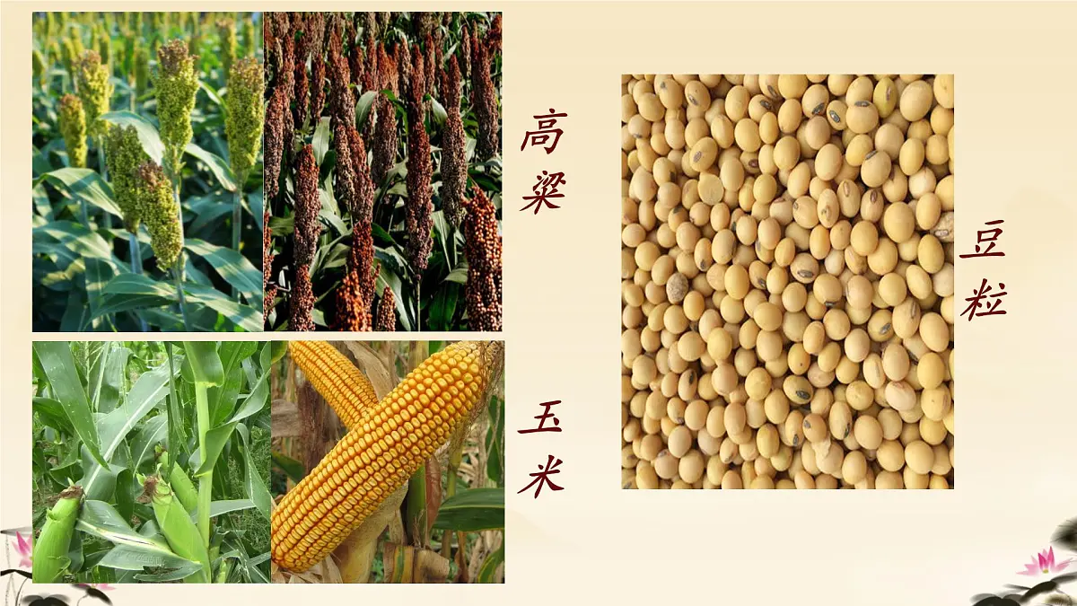 第8课《土地的誓言 》课件-2024-2025学年统编版语文七年级下册第8页