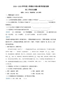 福建省南安市2024-2025学年九年级上学期期末语文试题（解析版）