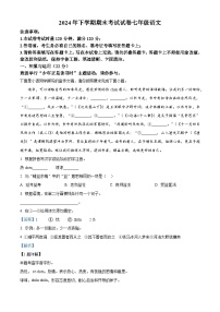 湖南省邵阳市武冈市2024-2025学年七年级上学期期末语文试题（解析版）
