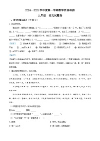 安徽省滁州市天长市2024-2025学年九年级上学期期末语文试题（解析版）
