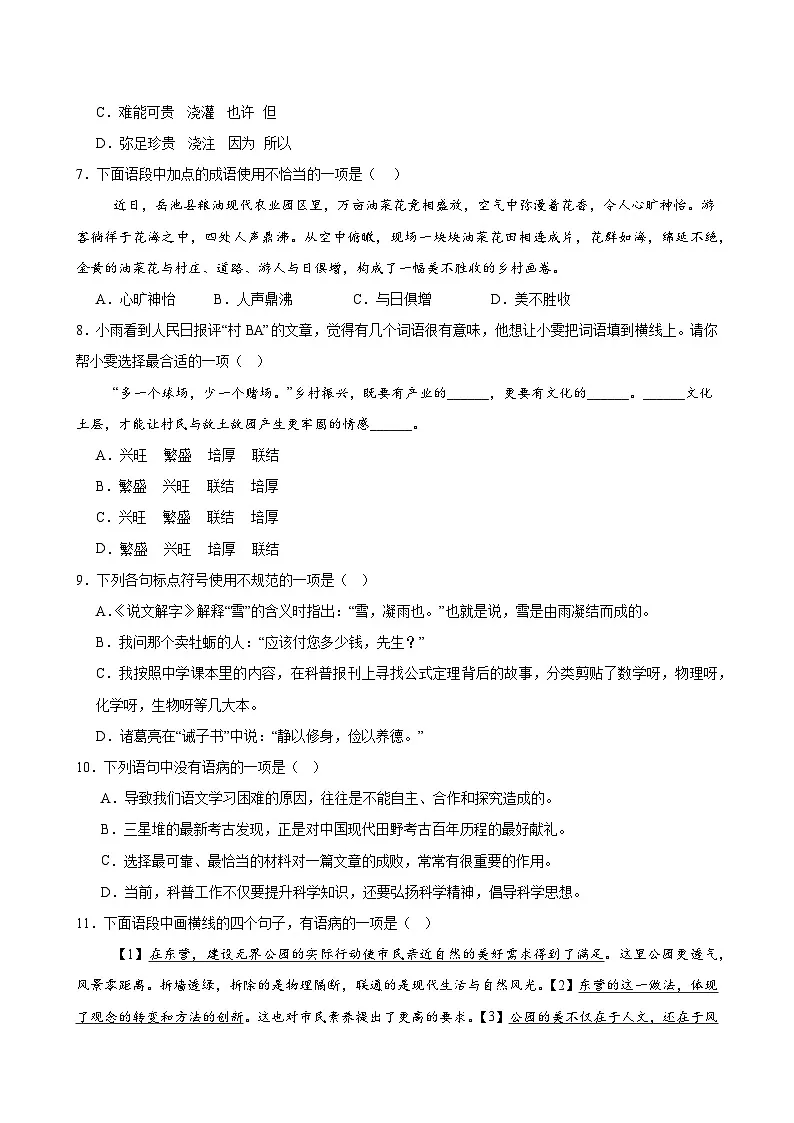 2025中考语文语言文字应用专题训练题集+过关检测 基础过关小卷01(字、词、句)(原卷版)第2页