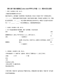 浙江省宁波市镇海区2024-2025学年九年级（上）期末语文试卷-普通用卷