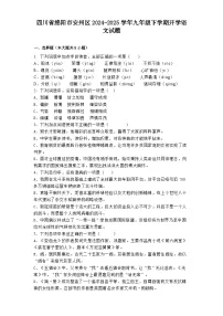 四川省绵阳市安州区2024-2025学年九年级下学期开学语文试题