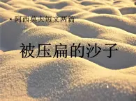 部编版 語文 八年級下冊 2024-2025年第二学期 6.《被壓扁的沙子》課件