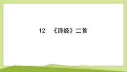 12　《詩(shī)經(jīng)》二首習(xí)題課件-2024-2025學(xué)年統(tǒng)編版語(yǔ)文八年級(jí)下冊(cè)