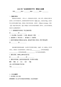 2025年广东省深圳市中考一模语文试题（附答案解析）