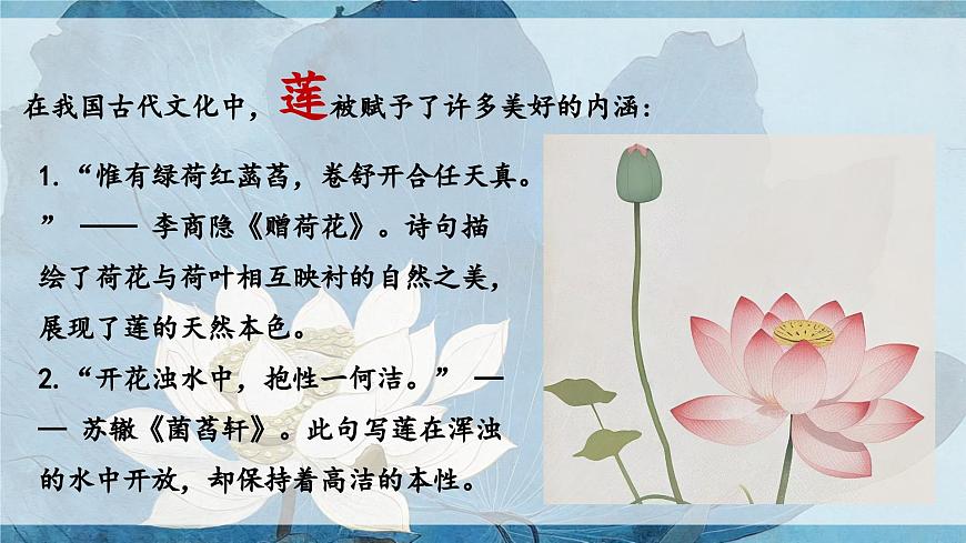 17《愛蓮說》課件-2024-2025學(xué)年七年級語文下冊同步備課精選課件(統(tǒng)編版2024)第3頁