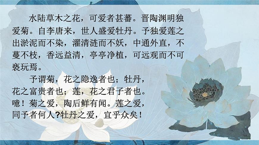 17《愛蓮說》課件-2024-2025學(xué)年七年級語文下冊同步備課精選課件(統(tǒng)編版2024)第7頁