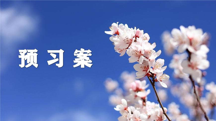 5大自然的語言（預習、導學、檢測案）第3頁
