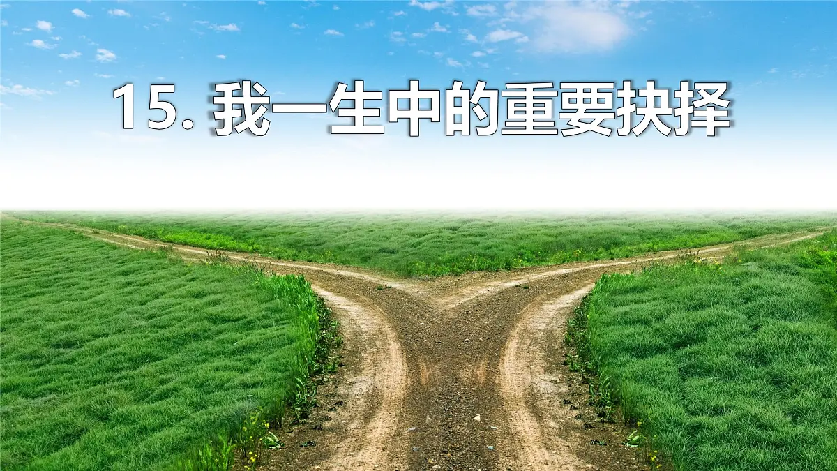 15.《我一生中的重要抉择》第3页