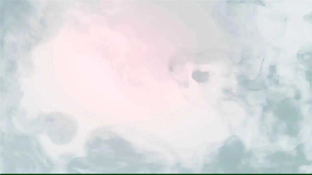 10.《小石潭记》第1页