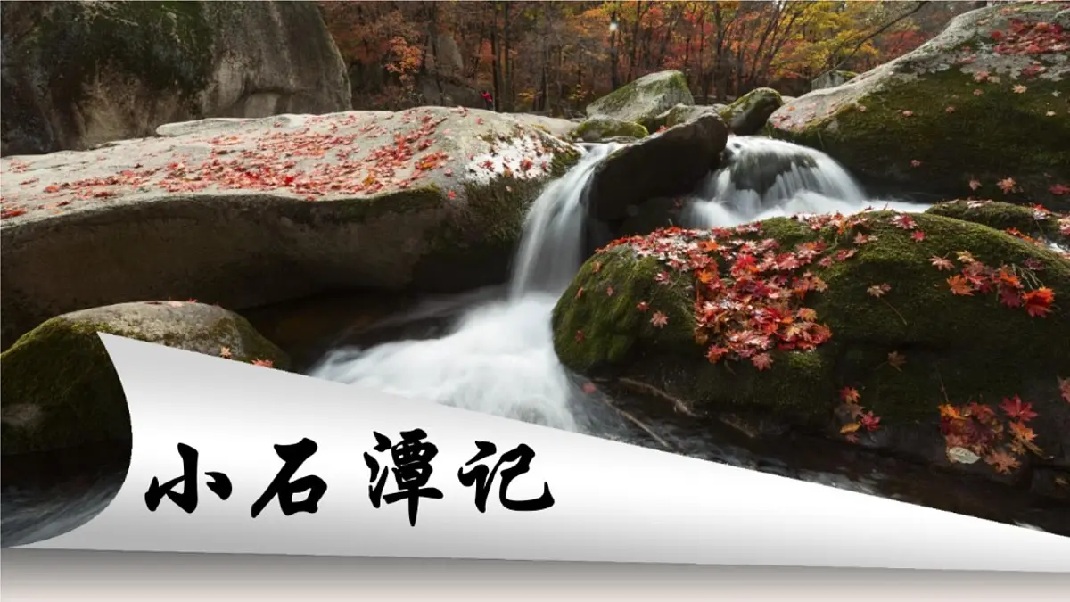 10.《小石潭记》第3页