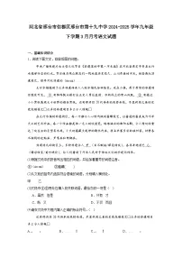 河北省邢台市信都区邢台市第十九中学2024-2025学年九年级下学期3月月考语文试题（含答案）