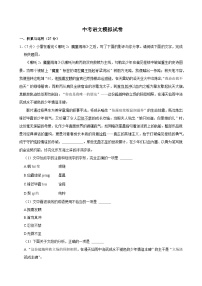 2025年山东省济宁市中考语文模拟试卷含答案