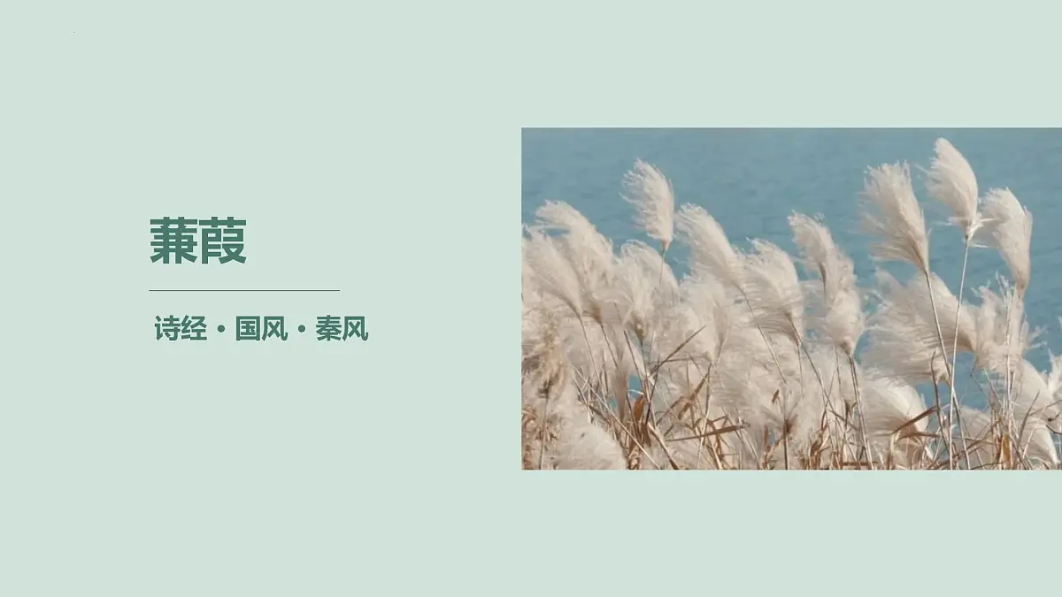 第12课《诗经二首——蒹葭》课件 2025学年统编版语文八年级下册第1页