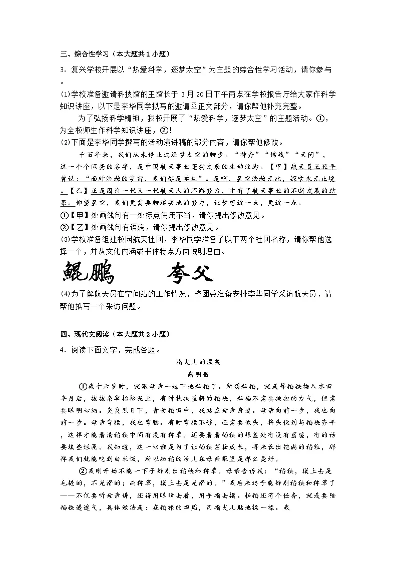 安徽省马鞍山市第七中学2025年中考一模语文试题(含答案)第2页