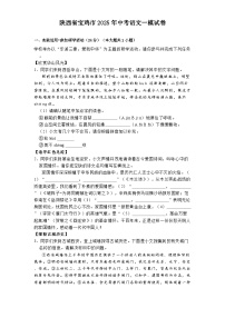 陕西省宝鸡市2025年中考语文一模试题（含答案）