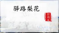人教部编版（2024）七年级下册（2024）驿路梨花课文配套ppt课件