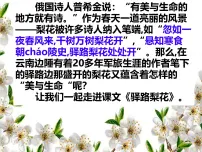 初中语文人教部编版（2024）七年级下册（2024）驿路梨花课前预习课件ppt