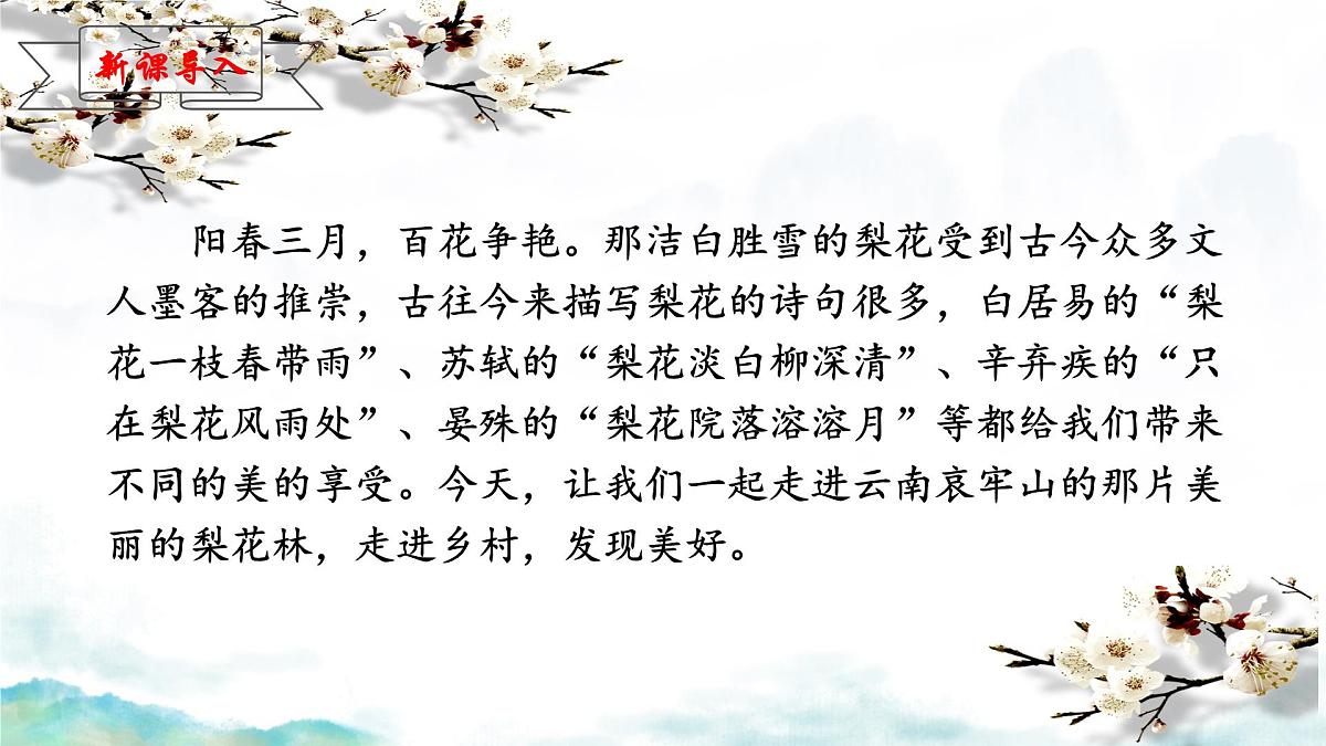 初中 语文 人教部编版(2024)七年级下册(2024) 第四单元14 驿路梨花 课件第1页