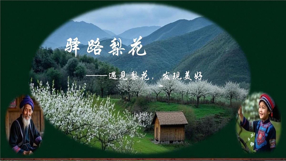初中 语文 人教部编版(2024)七年级下册(2024) 第四单元14 驿路梨花 课件第2页