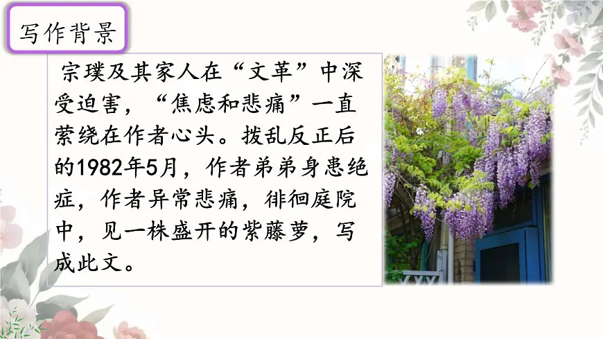 初中 语文 人教部编版(2024)七年级下册(2024) 第五单元19 紫藤萝瀑布 课件第7页