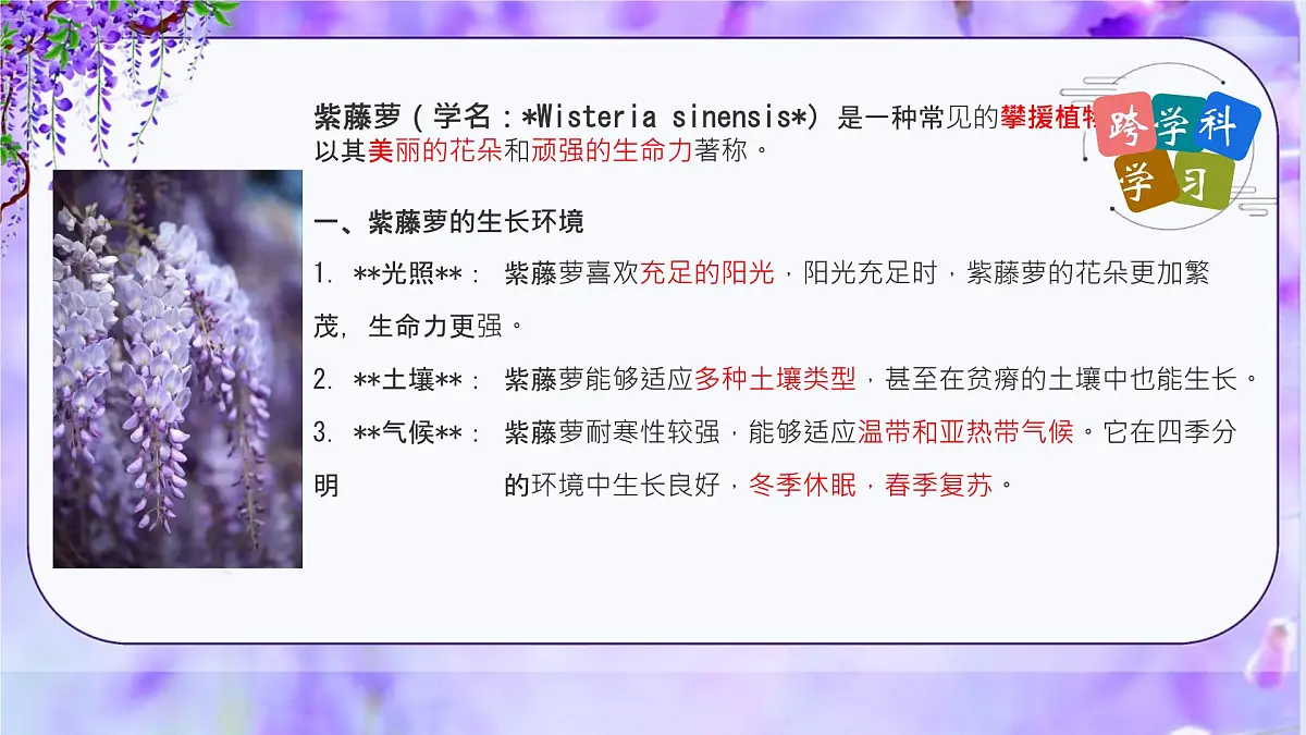 初中 语文 人教部编版(2024)七年级下册(2024) 第五单元19 紫藤萝瀑布 课件第7页