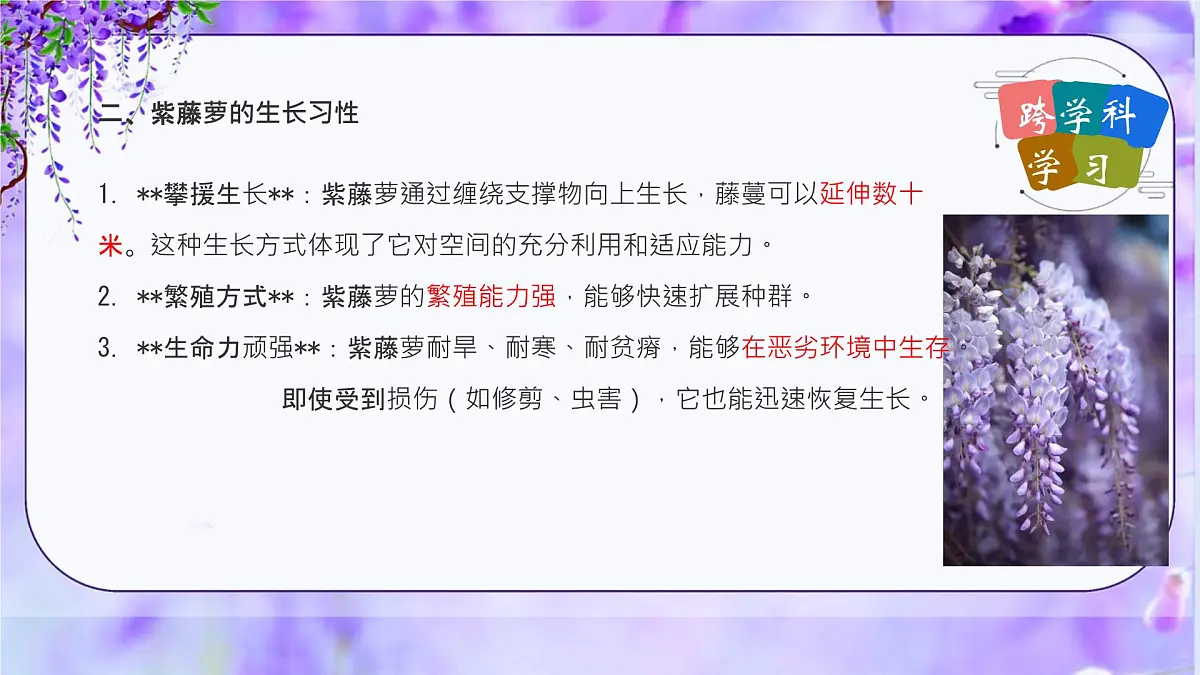 初中 语文 人教部编版(2024)七年级下册(2024) 第五单元19 紫藤萝瀑布 课件第8页