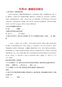 专项01 基础知识综合 (解析版+原卷版)2024——2025学年七年级语文下册期中测试专项训练(全国版)