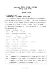 广东深圳市宝安中学（集团）实验学校2024-2025学年九年级上学期期中考试语文试题