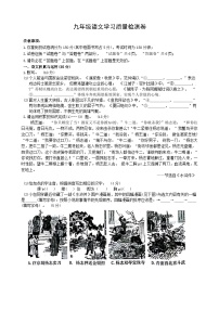 安徽省合肥市新站区2024-2025学年九年级上学期期末语文试题（含答案）