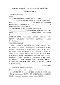 安徽省合肥市新站区2024-2025学年九年级上学期期末考试语文试卷（解析版）