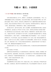备战2025年中考语文真题分类汇编(全国通用)专题15散文、小说阅读(第03期)(学生版+解析)