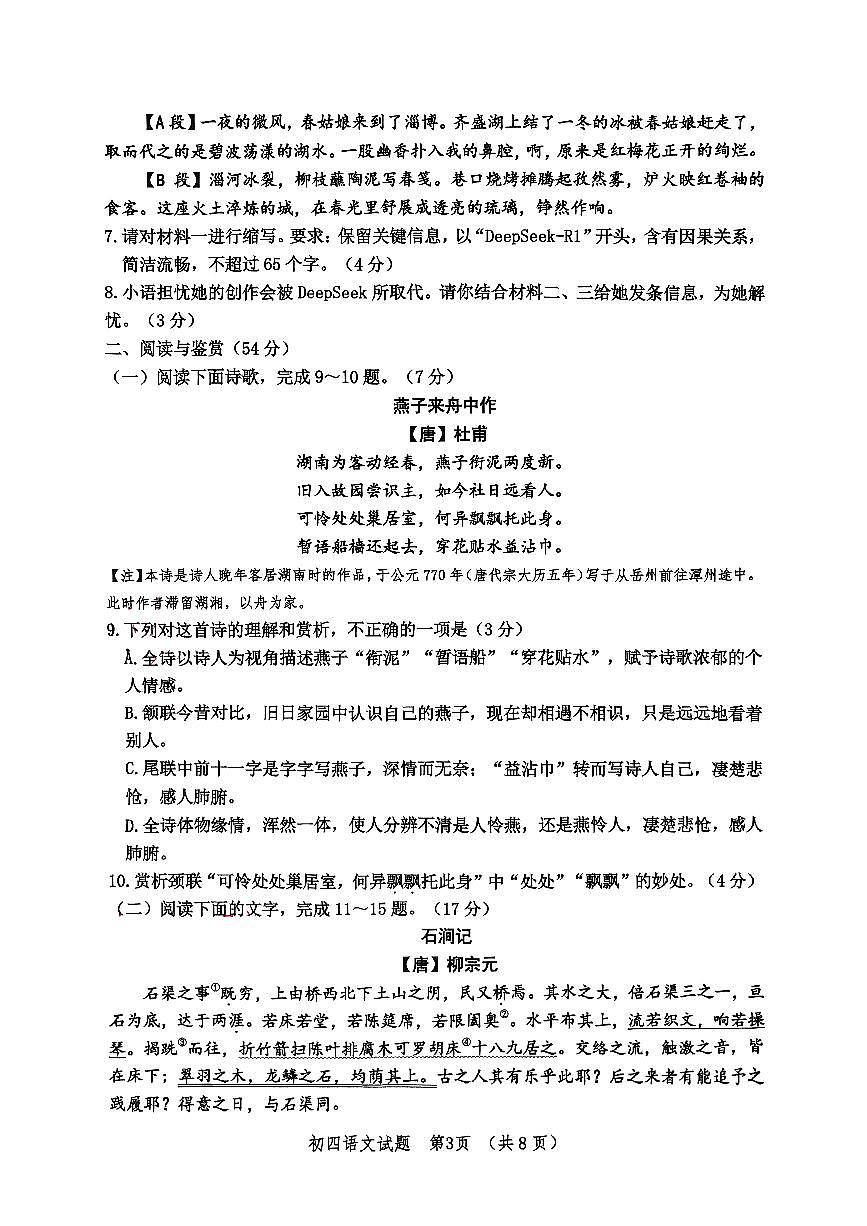 2025年山东省淄博市高新区中考一模语文试题第3页