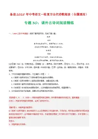2024中考模拟题语文专题30:课外古诗词阅读精练-备战2025年中考语文一轮复习古代诗歌阅读(全国通用)解析版