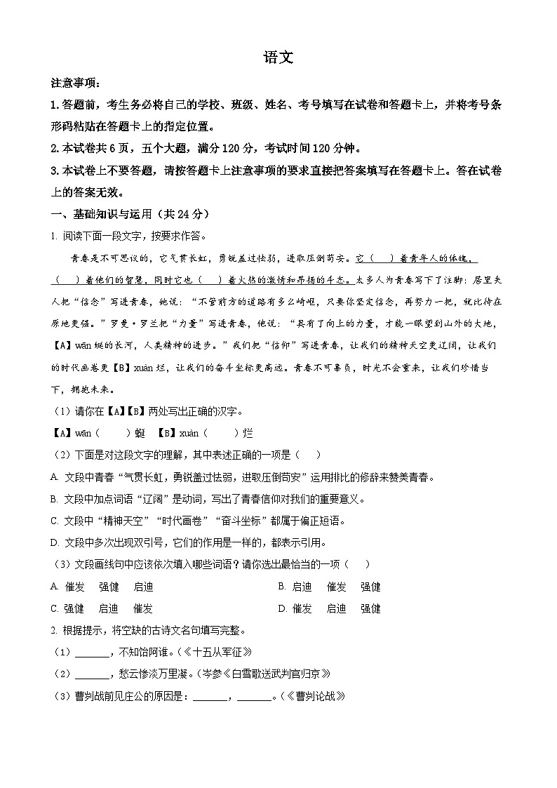 2025年河南省鄭州市外國(guó)語(yǔ)中學(xué)中考一模語(yǔ)文試題（原卷版+解析版）第1頁(yè)