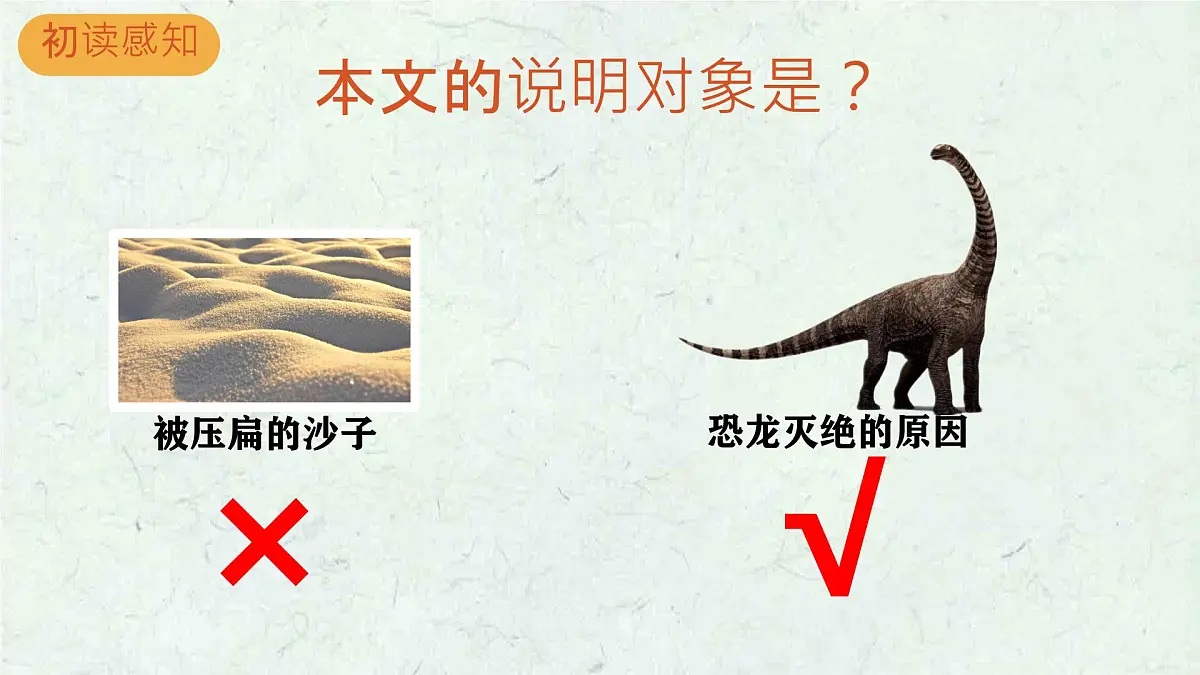 统编版八年级语文下册《被压扁的沙子》教学课件第2页