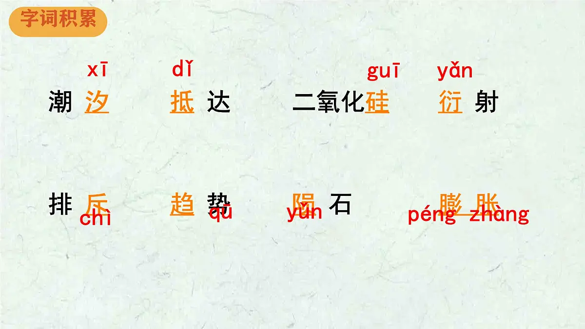 统编版八年级语文下册《被压扁的沙子》教学课件第6页
