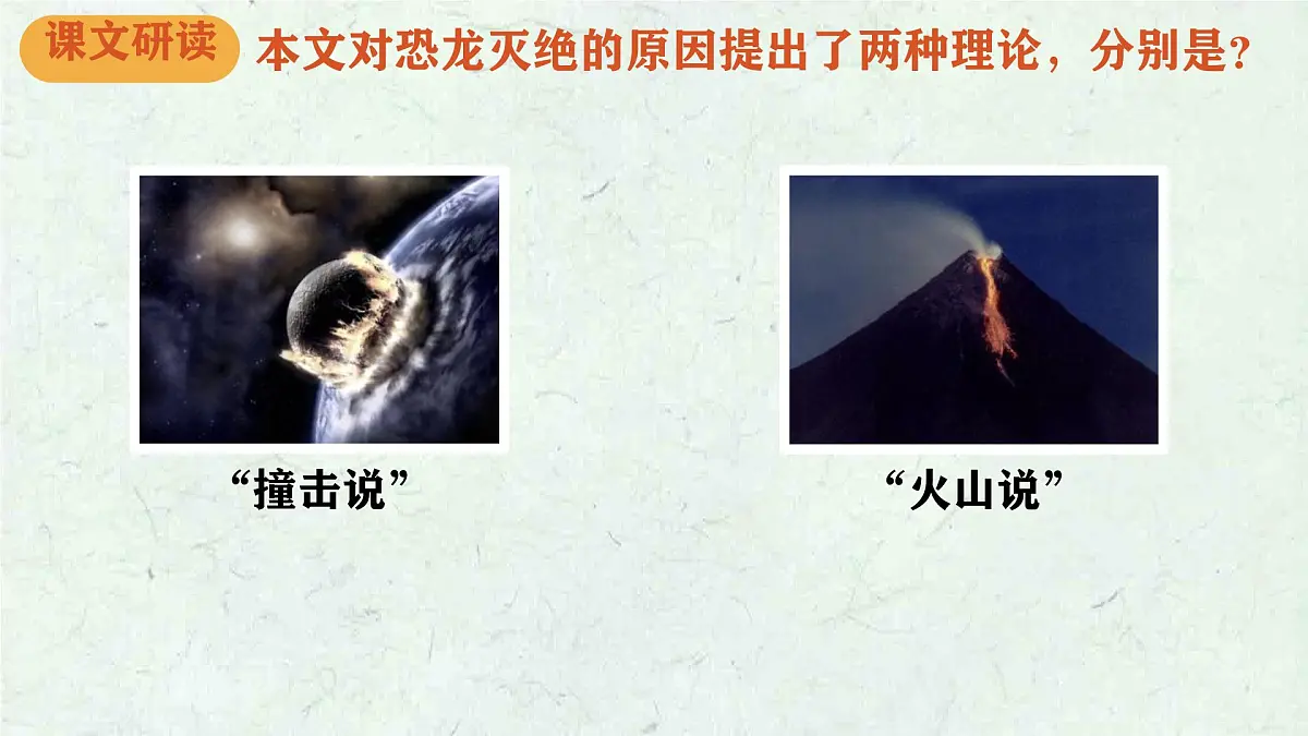 统编版八年级语文下册《被压扁的沙子》教学课件第8页