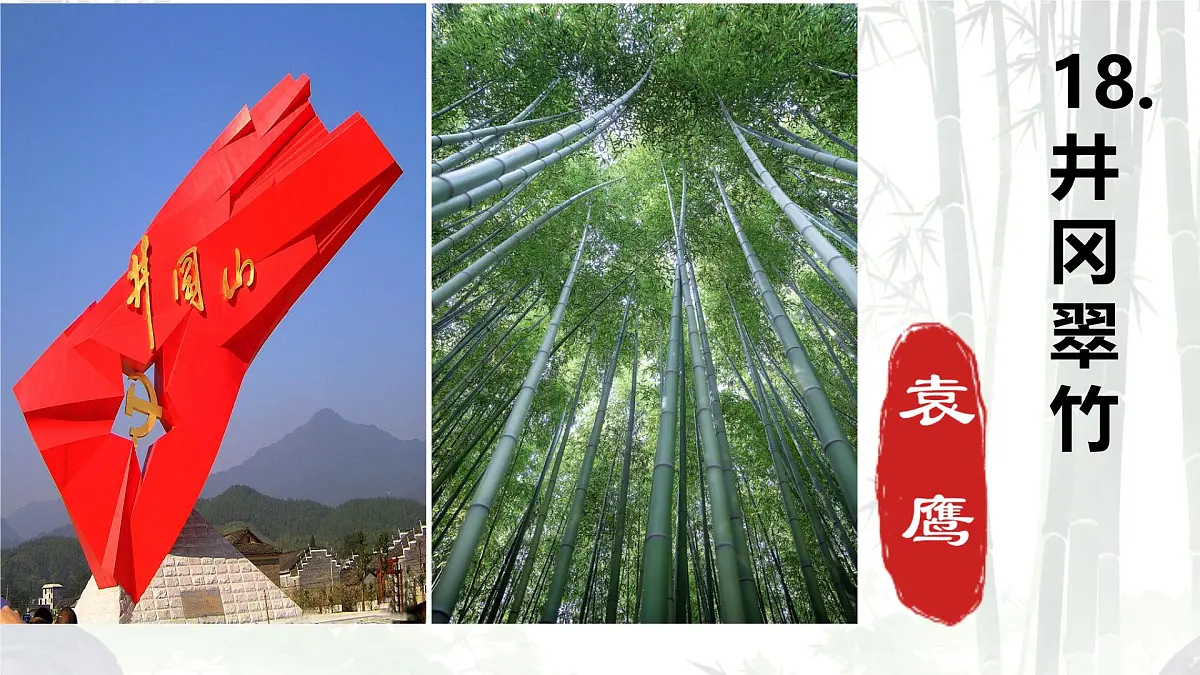 初中语文人教部编版(2024)七年级下册(2024)第五单元18 井冈翠竹 课件第1页
