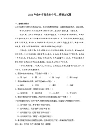 2025年山东省青岛市中考二模语文试题（含答案）