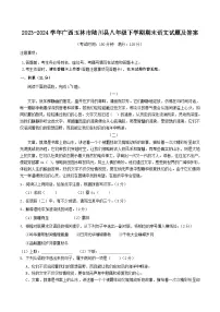 2023-2024学年广西玉林市陆川县八年级下学期期末语文试题及答案