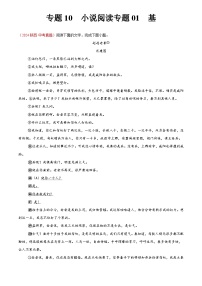 2024年中考语文真题分类汇编专题10 小说阅读（第02期）（解析版）