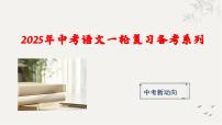 九年级名著阅读课件-【中考新动向】2025年中考语文一轮复习备考系列