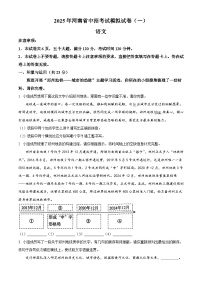 2025年河南省驻马店市中考一模语文试题（含答案）