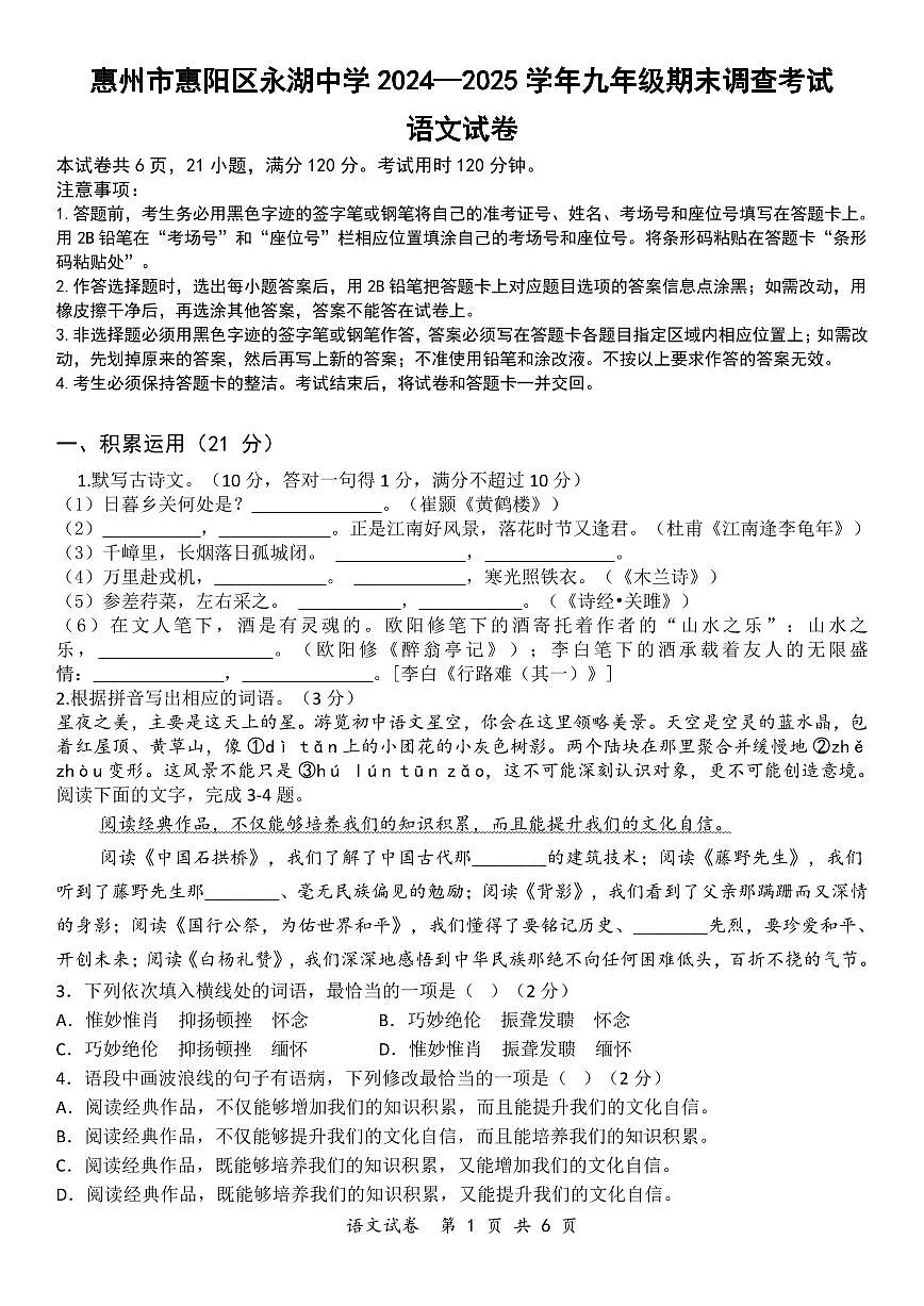 (考卷)惠州市惠阳区永湖中学2024—2025学年九年级期末调查考试语文试卷第1页