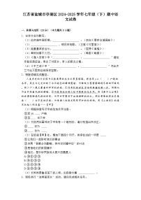 江苏省盐城市亭湖区2024-2025学年七年级（下）期中语文试卷