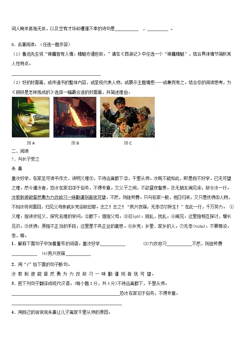 2025年广西壮族自治区桂林市阳朔县中考语文模拟试题(一)第2页