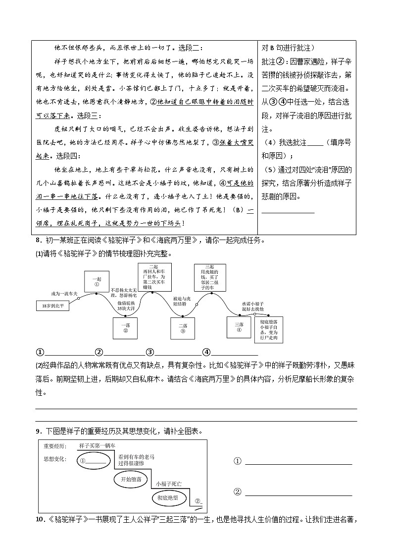 七年级语文下册“整本书阅读”《骆驼祥子》《钢铁是怎样炼成的》专练(原卷版)2024-2025学年统编版第3页